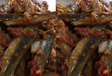 Sederhana Sambal Ikan Asin Enaknya Juara, Bikin Nambah Nasi!