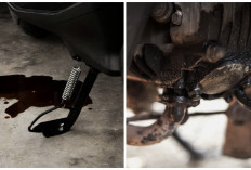 Oli Motor Bocor & Rembes? Waspada, Bisa Jadi Seal Rusak