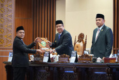Batubara hingga BUMD Jadi Sorotan