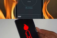 HP Tiba-Tiba Panas, Cek Tips Sederhana Ini 