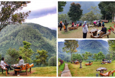 Wajib Dikunjungi,  Cafe D'Pakar Bandung Dengan Pemandangan Alamnya 