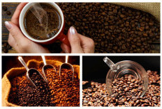Benarkah Kopi Dapat Kurangi Risiko Kematian? Begini Penjelasannya