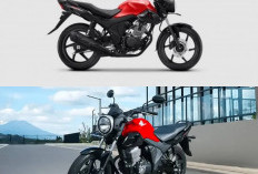 Harga Terbaru Honda Verza 2026 Mulai Terungkap
