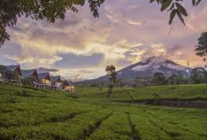 Nataru, Kunjungan Wisatawan Diprediksi Meningkat 