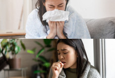 Pengobatan Alami, Inilah 5 Tips Langkah Untuk Mengatasi Flu, Batuk, dan Pilek Secara Efisien