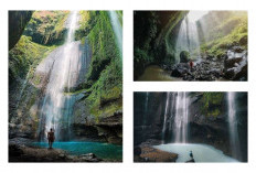 Mengalir dalam Keindahan Alam, Eksplorasi Keajaiban Air Terjun Madakaripura Probolinggo