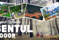 11 Tempat Wisata Keluarga yang Seru dan Menarik, Berikut Penjelasanya