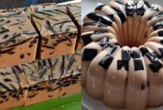 Ide Dessert Kekinian: Puding Cappuccino Cincau yang Mudah dan Murah Tapi Tidak Mengecewakan