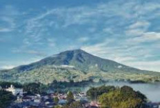 Mantap Jiwa, Begini Pesona yang Tersembunyi di Puncak Gunung Singgalang Sumatera Barat