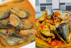 Yuk Cobain Resep Ikan Pindang Tongkol Bumbu Kuning yang Gurih Mantap untuk Bekal