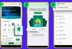 Jangan Lewatkan! Begini Cara Ikut Event Resmi GoPay 2025 dan Dapat Saldo Gratis