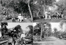 Sejarah Kelam Jalan Anyer - Panarukan, Proyek Ambisius Daendels yang Memakan Ribuan Nyawa