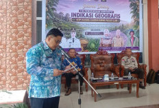 Siap Go Nasional dan Internasional