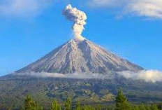 Bikin Greget, Ini Keindahan yang Mempesona di Puncak Tertinggi Kedua di NTB Gunung Sanggar! Ini Ceritanya