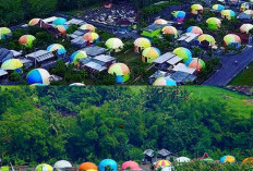 Yuk kunjungi Desa Wisata Rumah Domes,Dengan Sensasi Unik Ala Teletubbies di Yogyakarta! 