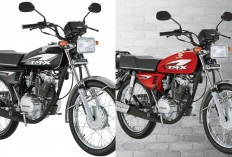 Honda TMX125 Alpha, Motor Klasik Irit dengan Sentuhan Nostalgia GL125, Begini Desain dan Spesifikasinya!