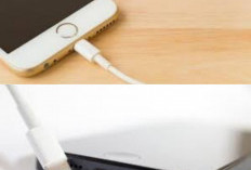 Jangan Asal Pakai Charger Cepat, Ini Dampaknya ke Baterai HP!