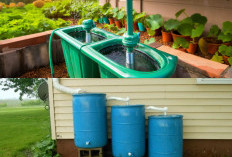 Air Hujan Ternyata Bisa Jadi Air Bersih, Cuma Butuh Teknologi Sederhana Ini!