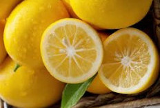 Pecinta Asam Wajib Tahu! Ini 5 Rahasia Segar Keajaiban Buah Lemon Dalam Hidup Sehari-hari