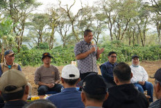  Dorong Swasembada Pangan, Pagar Alam Siapkan 10 Hektare Lahan Untuk Tanam Bawang Putih
