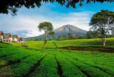Siap Fasilitasi Mediasi dengan PTPN