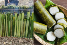 Bikin Ketagihan, Resep Lemang Bambu Autentik Rahasia Kelezatannya Terungkap!