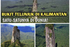 Berhasil Ditaklukkan Mapala UI? Ternyata Begini Medan Puruk Sandukui Bukit Telunjuk Satu-satunya di Dunia!