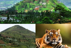 Benarkah Legenda Tentang Harimau Gaib di Gunung Padang? Ini Dia Bukti Arkeologis yang Mencengangkan!