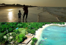 5 Kisah Indah di Pantai Tanjung Baru: Liburan Keluarga yang Tak Terlupakan!