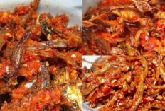 Buruan Cobain Resep Sambal Teri Sederhana yang Pedas Dan Enak!