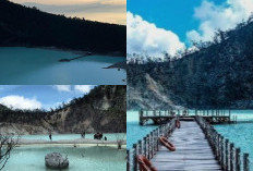 Eksplorasi Kawah Putih Bandung, Keindahan Alam di Ketinggian 2.194 mdpl!