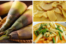 Ini 5 Rahasia Kelezatan Kuliner Sayur Rebung Dalam Masakan Tradisional Indonesia, Wajib Anda Coba!