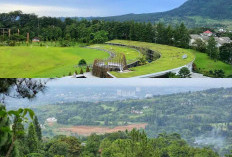 Bukan Sekadar Pemandangan! Ini 8 Fakta Bukit Pelangi Sentul yang Jarang Diketahui
