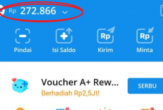 Baru Rilis 2025! Main Game Dibayar Rp880.200 Tanpa Modal, Bukti Cair ke DANA!