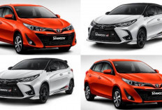 Mobil Hatchback Masih Jadi Favorit, Ini Keunggulan dan Pilihan Terbaik di Indonesia Ditahun 2025!