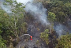 Puluhan Hektare Lahan di Sekitar Bandara Atung Bungsu Terbakar