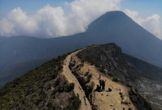 Menikmati Keindahan Gunung Gede: Keindahan Tak Ada Duanya