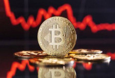 Potensi Koreksi Bitcoin Hingga US$40 Ribu: Apa yang Harus Investor Ketahui?