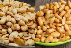 Kacang Goreng Cemilan Khas Thailand Renyah Gurih Dan Bikin Nagih!