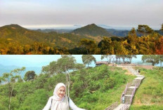 Wisata Alam Gunung Kendeng, Menikmati Panorama Terbaik di Banten!