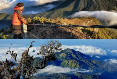 Gunung Lawu, Dari Jalur Pendakian Menantang hingga Fenomena Alam yang Menakjubkan!