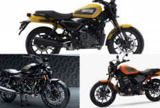 Harley-Davidson X440 2024, Motor Gaya Modern dengan Harga Ramah Kantong, Segini Harganya!