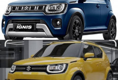 Suzuki Ignis 2026, City Car Crossover Lincah, Irit, dan Stylish untuk Mobilitas Modern, Ini Spesifikasinya!