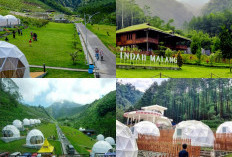 Lembah Indah Malang, Destinasi Liburan Keluarga dan Pasangan dengan Keindahan Alam dan Glamping!