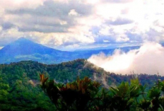 Fakta Menarik Gunung Tampulonanjing Yang Jarang di Ketahui, Pendakian Menantang dengan Pesona Alam yang Asri