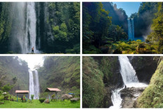 Adem Banget ! Cocok Untuk Tenangkan Pikiran dan Memanjakan Mata, Ini 5 Curug Wisata di Garut 