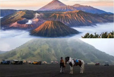 Syarat Terbaru Masuk Kawasan Bromo: Aturan Booking Online hingga Larangan Kendaraan Pribadi Makin Ketat
