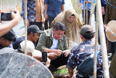 Dorong Inovasi Pertanian Berbasis Riset