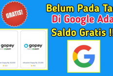 Duduk Manis, Jawab Survei, Saldo GoPay Langsung Nambah!