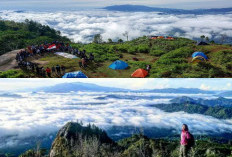 Menelusuri Keindahan dan 6 Tantangan Gunung Buntu Karua di Tanah Toraja, Yuk Kunjungi!